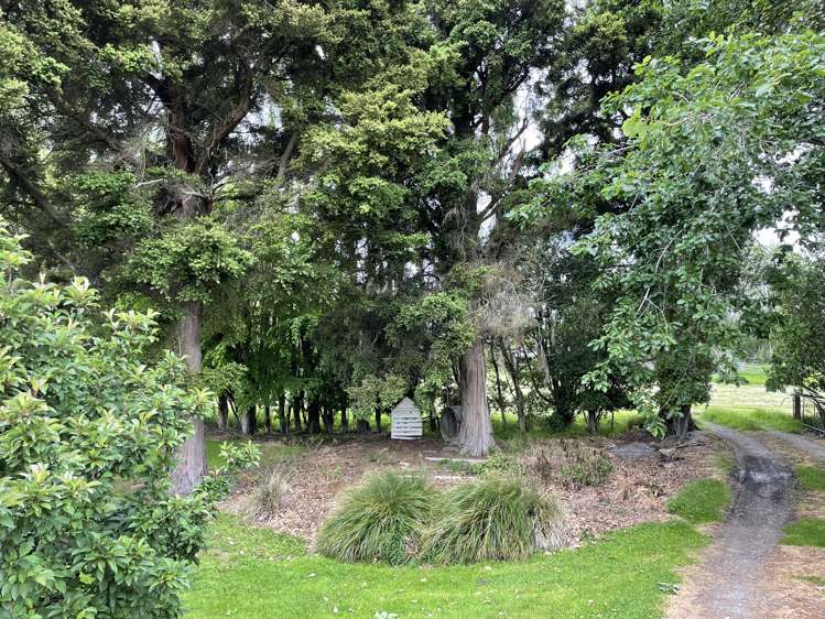 147 Chicory Road Inch Clutha_5