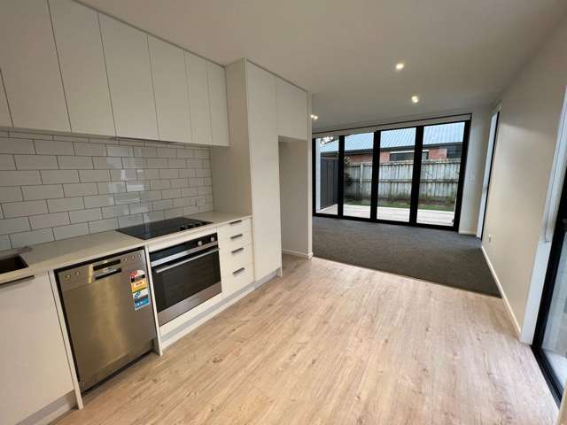 11F Hinemoa St Spreydon_4