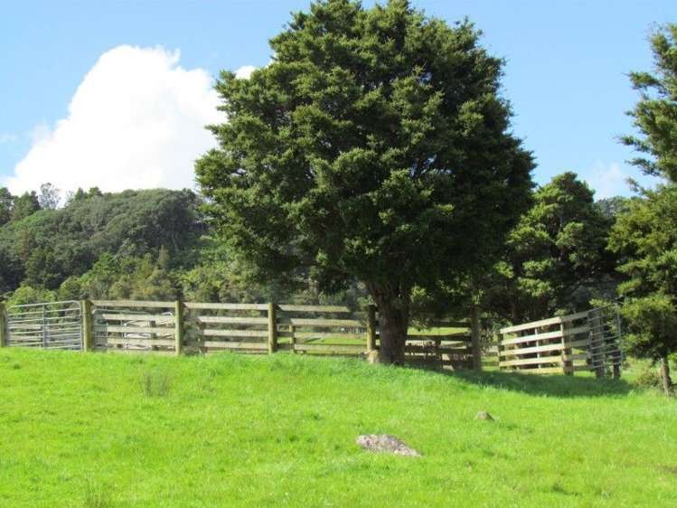 1871 State Highway 14 Mangapai and Surrounds_30