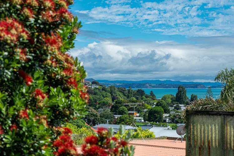 820 Whangaparaoa Road Manly_13