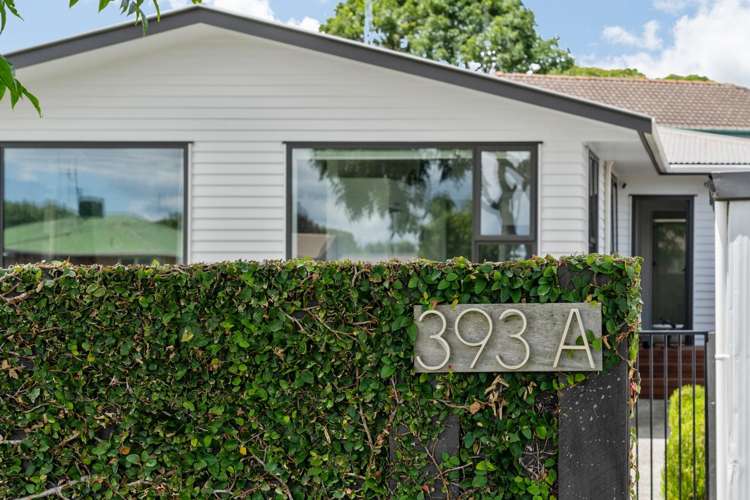 393A Maungatapu Road_1