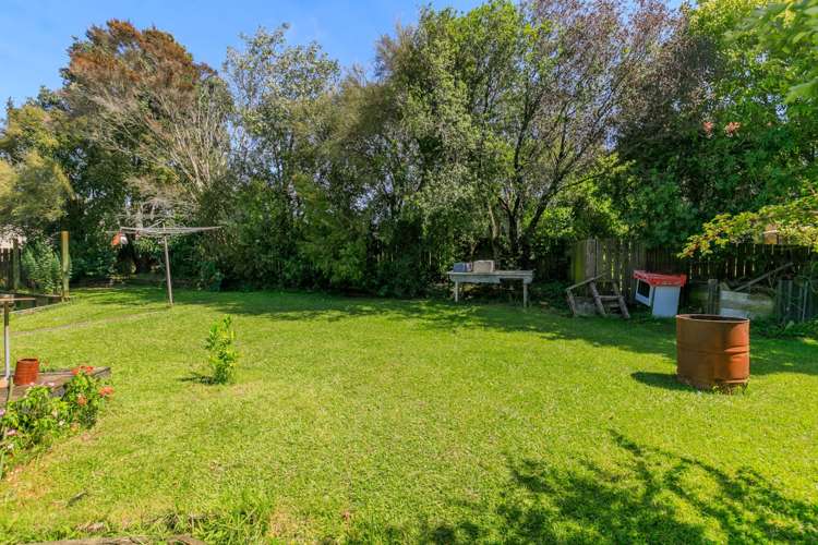 3a Tutuki Street Waterview_9