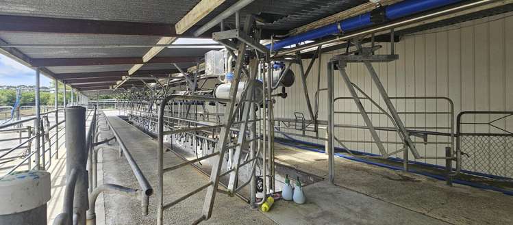 62 Ngamotu Road Rerewhakaaitu_17