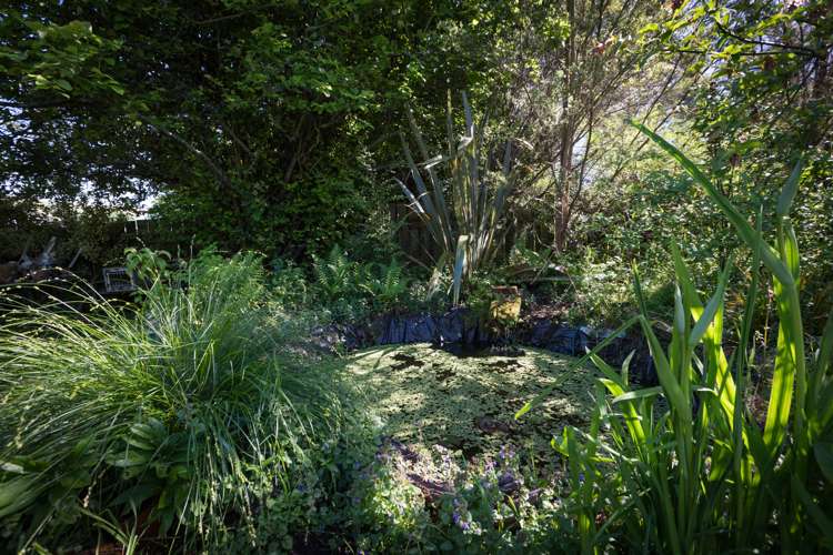 16 Eagle Street Waipawa_14