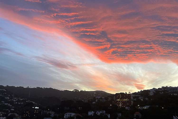 E1604/160 Victoria Street Te Aro_15