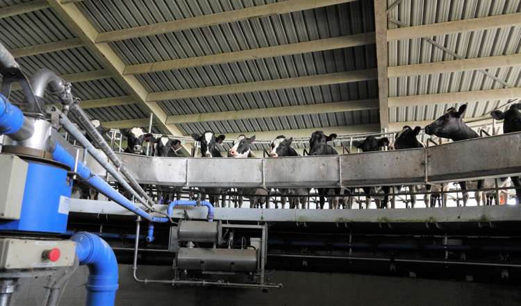 558 Seadown Road Seadown_7