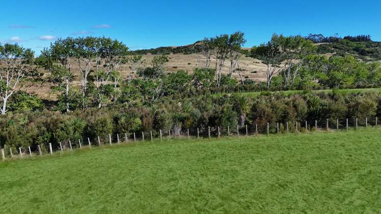 Lots 2-4/244 Lawrence Road Mangawhai_8