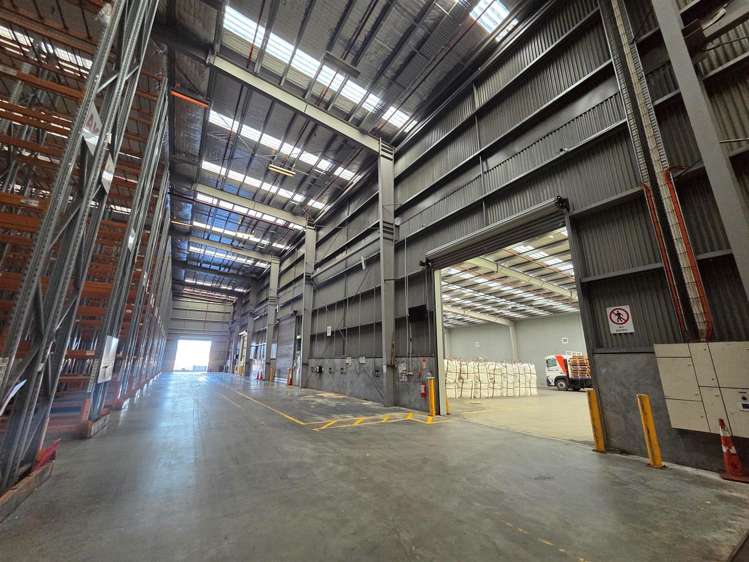 75 Seymour Street Hornby_7