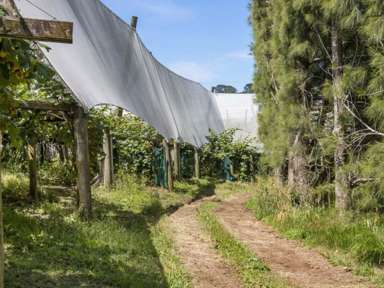 229 Walford Road_1