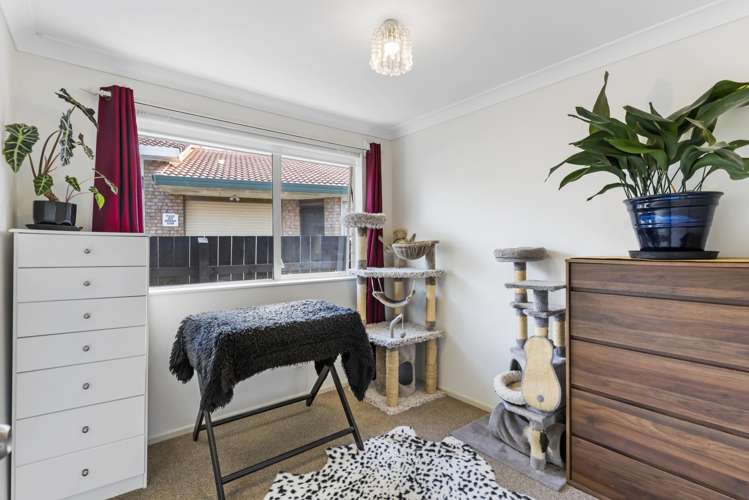 53 Donald Street Stanmore Bay_8