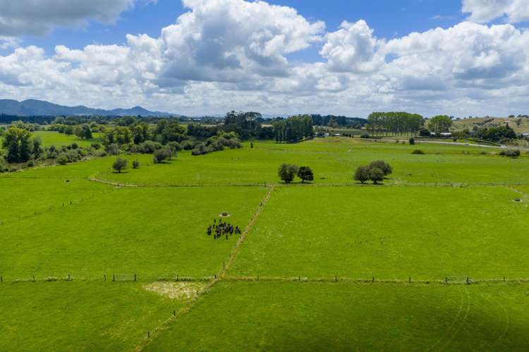 394A Ngaruawahia Road Te Kowhai_27