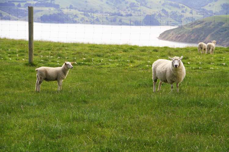 417 Wainui Main Road Wainui_10