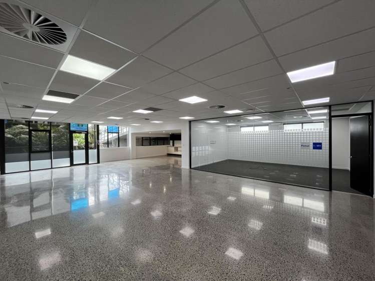 4 Murdoch Road Grey Lynn_16