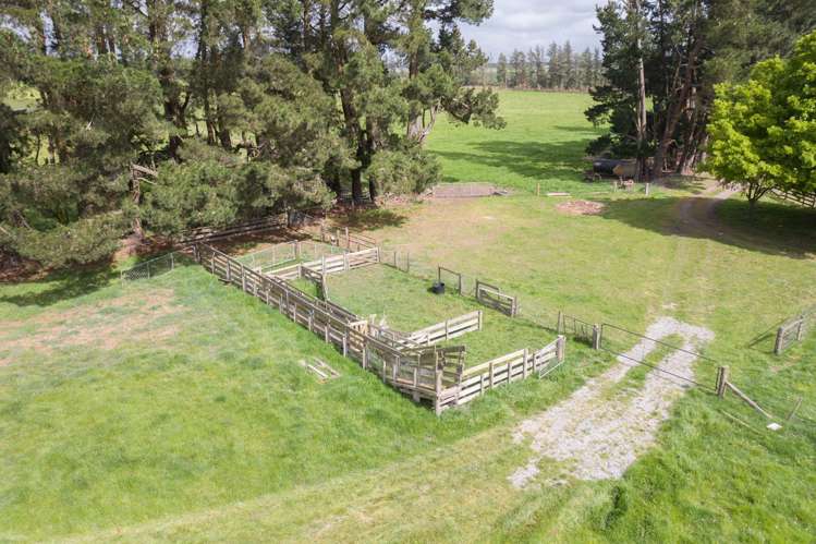 1148 Rakaia Highway Ashburton_5