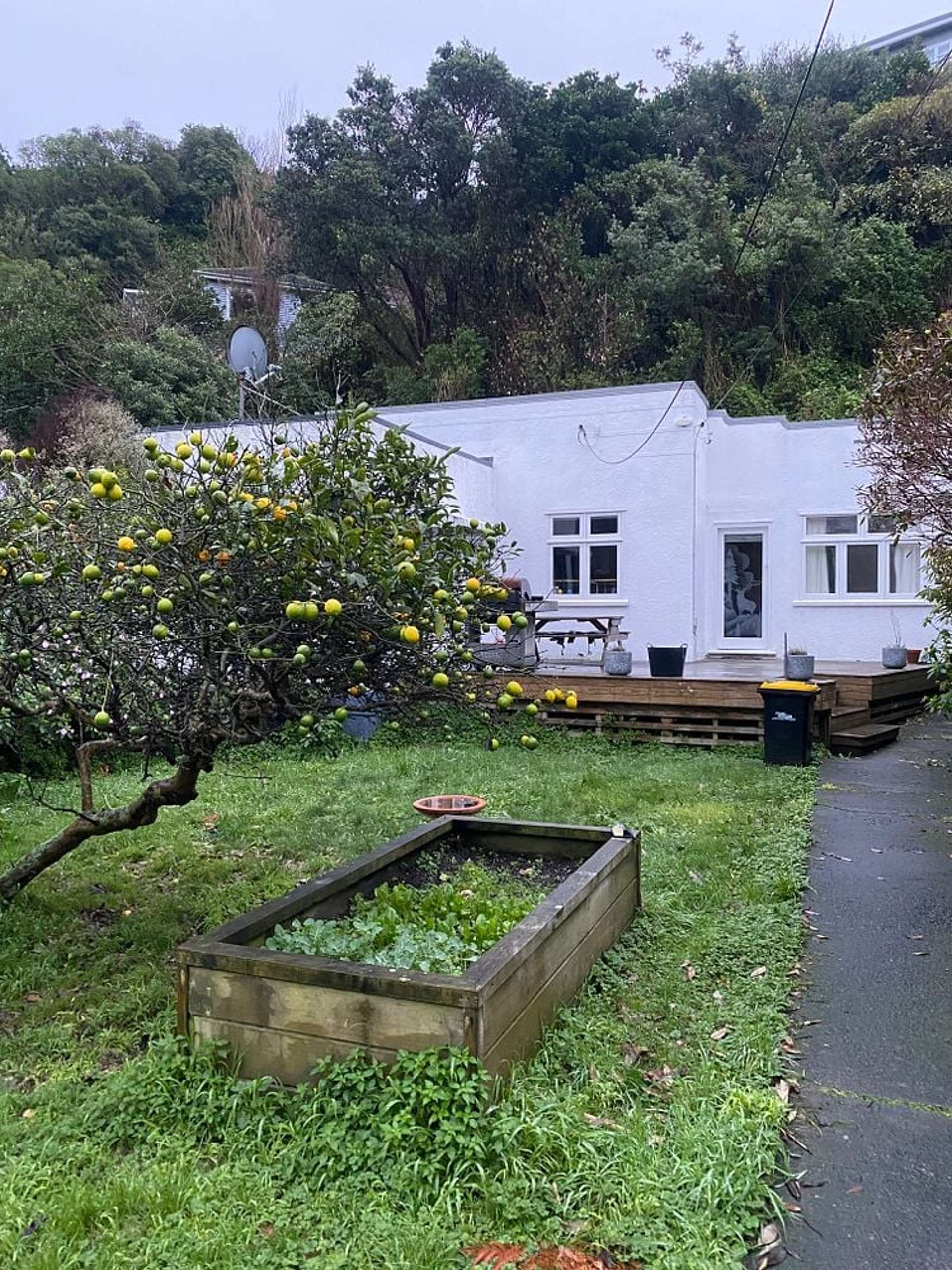 35 Melrose Road Island Bay_0