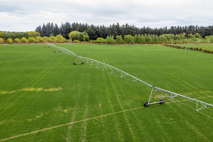 2393 North Rakaia Road Bankside_20