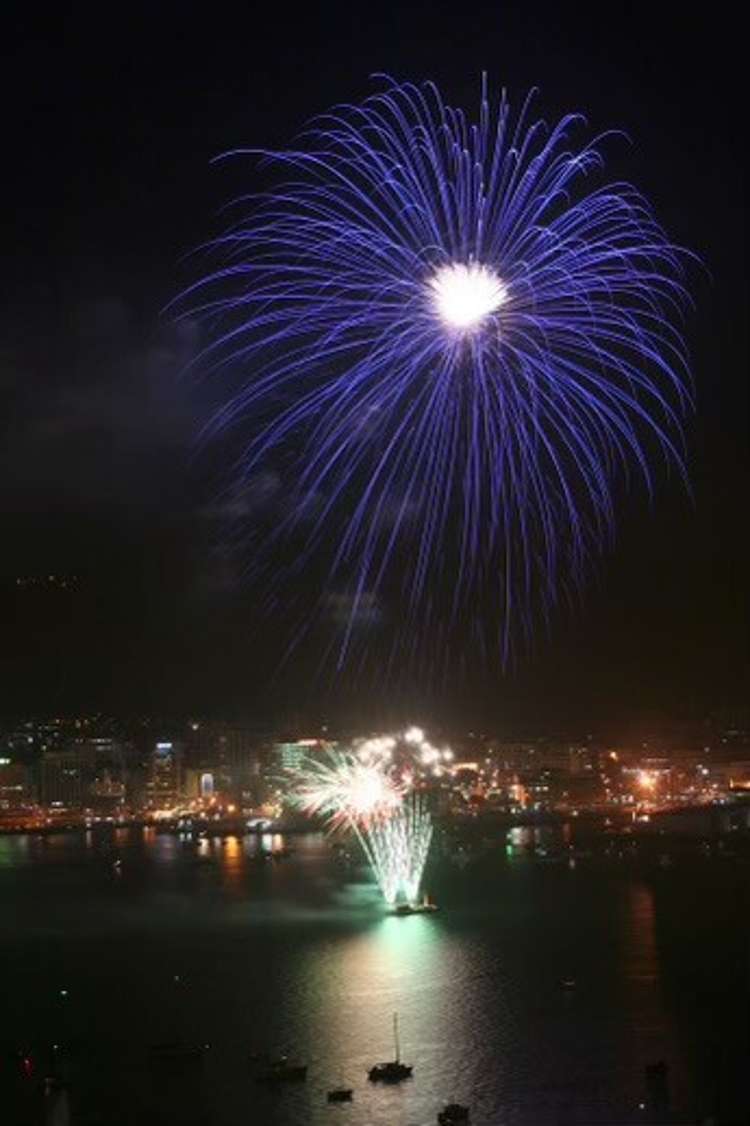 14 Palliser Road Roseneath_19