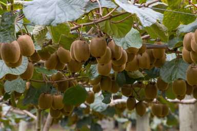 416 State Highway 2_2