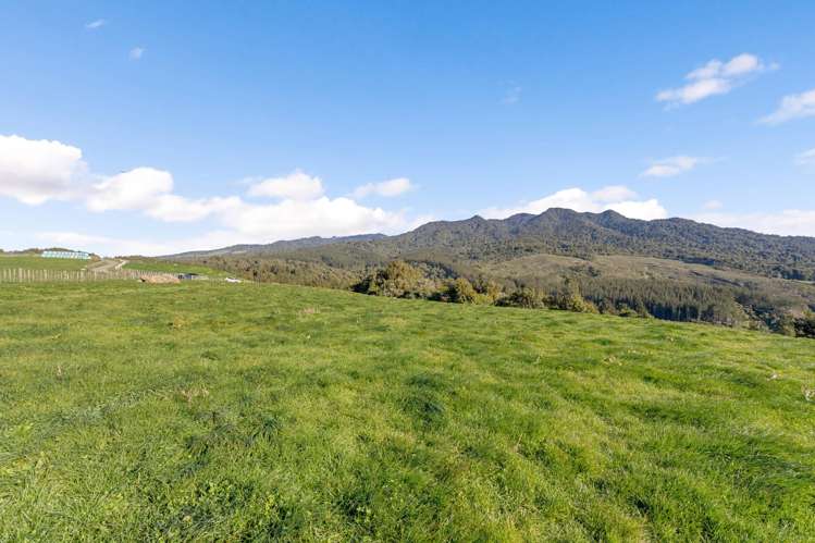 2/471 Sainsbury Road Pirongia_11