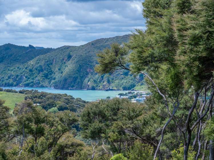 38 Bowden Road Taupo Bay/Totara North_18