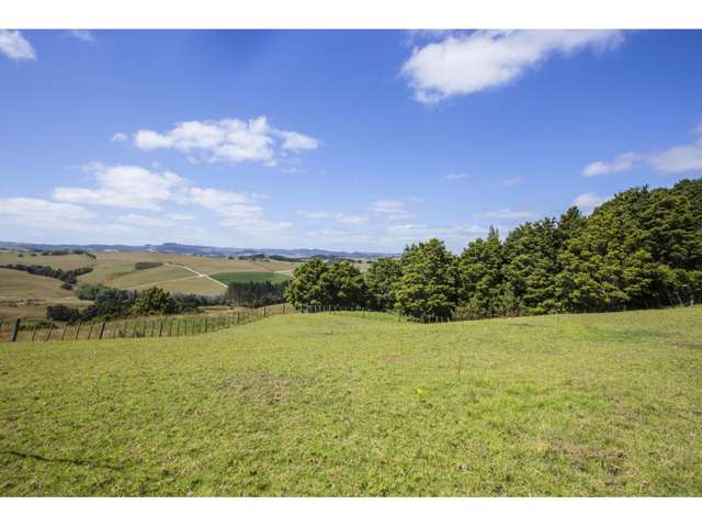 104 Fishlock Road Te Arai_1