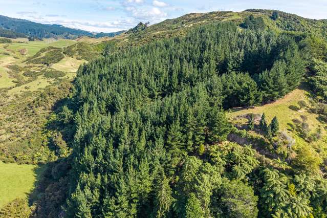 358 Kuku East Road Manakau_4