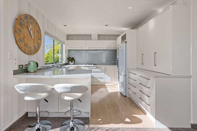 115 Auckland Road Greenmeadows_1