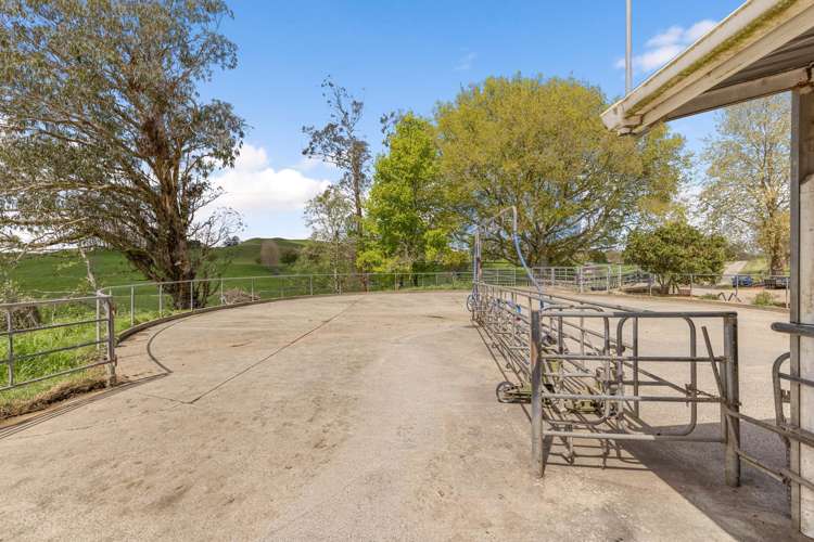 58 Nicholson Road Piarere_4