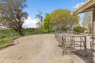 58 Nicholson Road_4