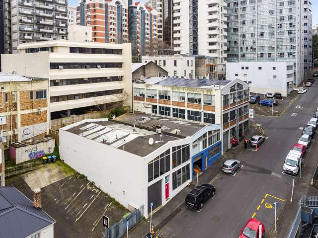 40 Airedale Street Auckland Central_1