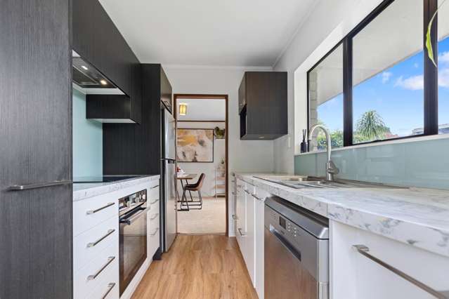 14B Tutchen Street Tauranga Central_1