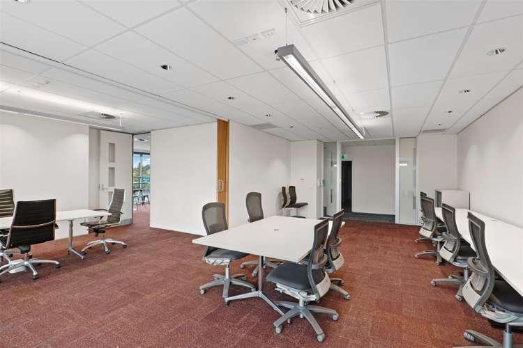 5 Durham Street South Sydenham_6