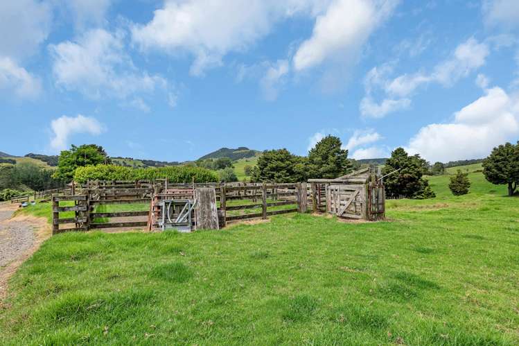 Pipiwai Road Purua_12