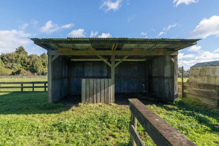 97 Tarena Street Mamaku_15