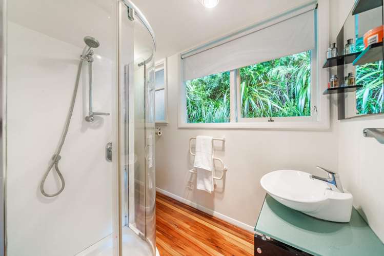 61 Mana View Road Camborne_16