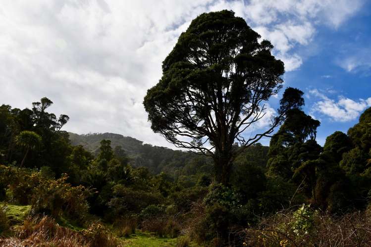 904 Karamea Kohaihai Road Karamea_30