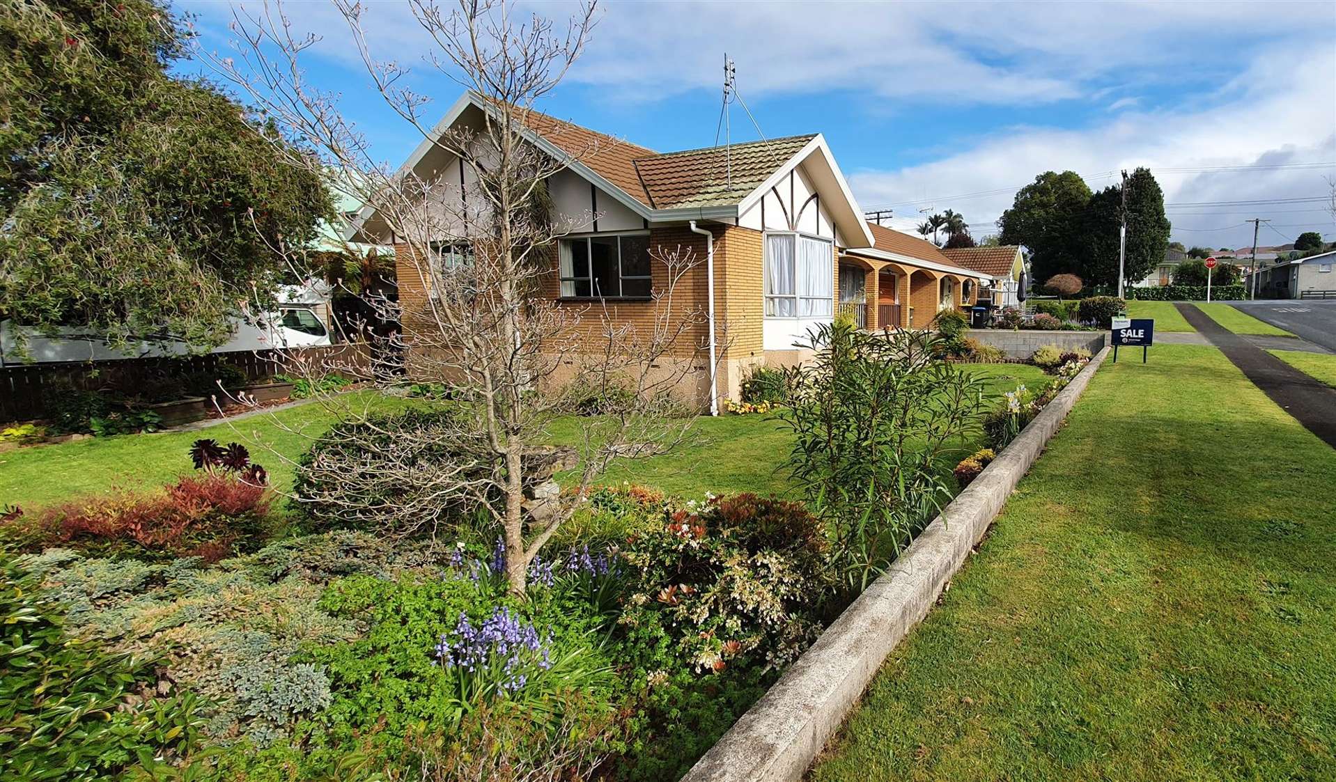 2/2 Eden Avenue Te Awamutu_0