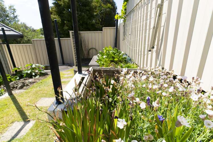 6 Crosby Street Havelock North_18