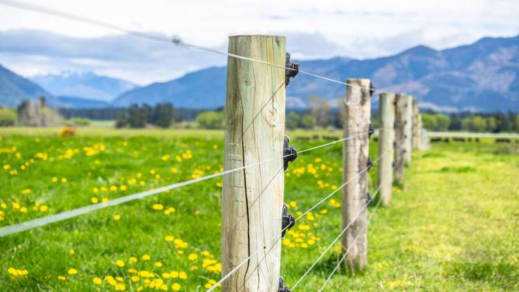 163 Woodbank Road Hanmer Springs_17