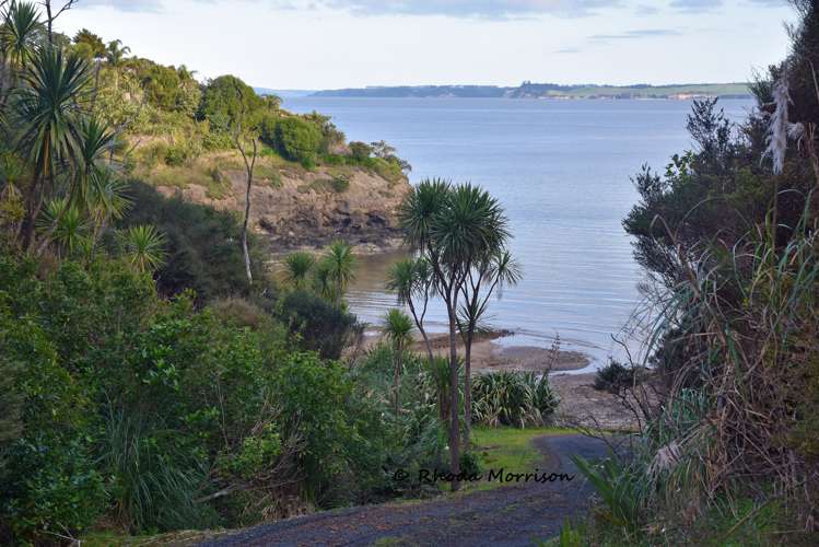 100 Te Wairoa Lane Matakohe_12