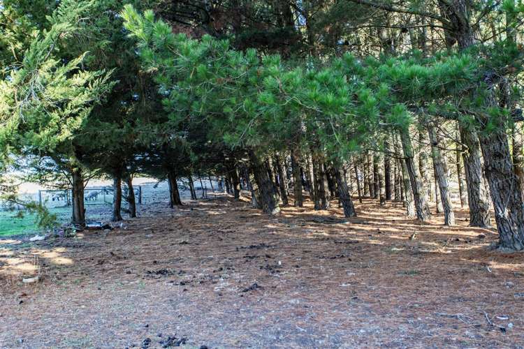 335 Main Race Road West Eyreton_6