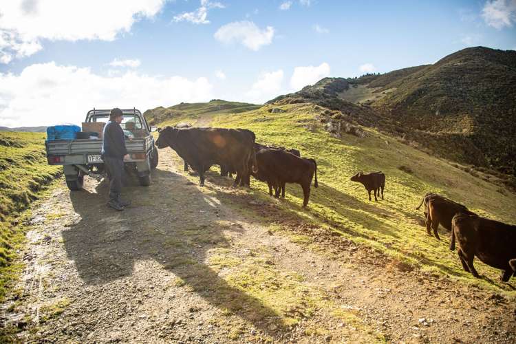 200 Parkvale Road Wilton_31