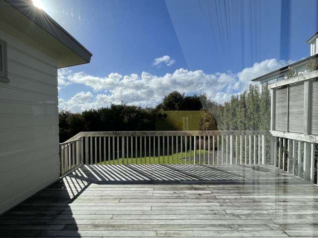 9 Gilliam Street New Lynn_4