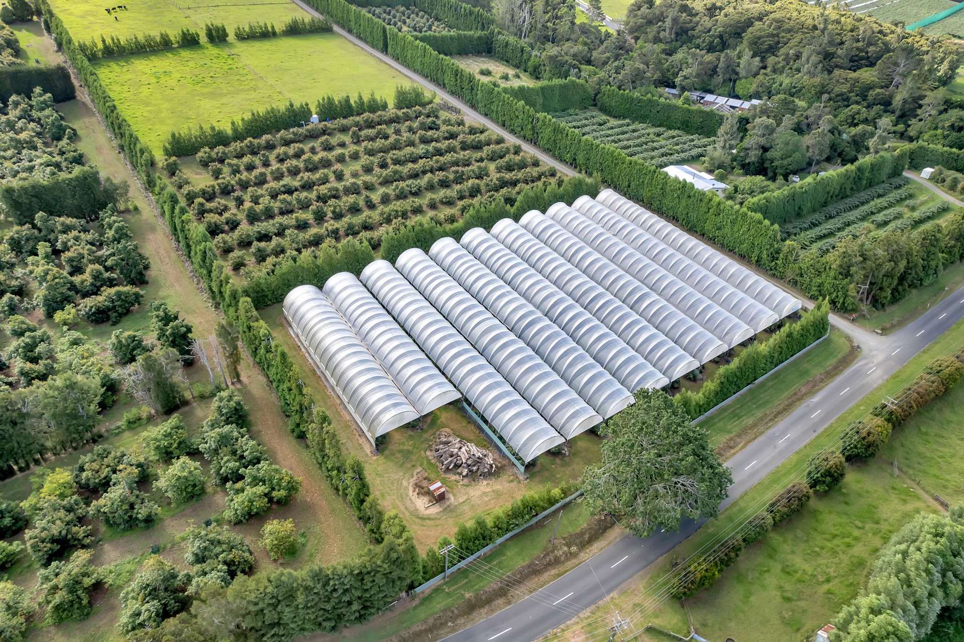 65 Tatton Road Maungatapere_0