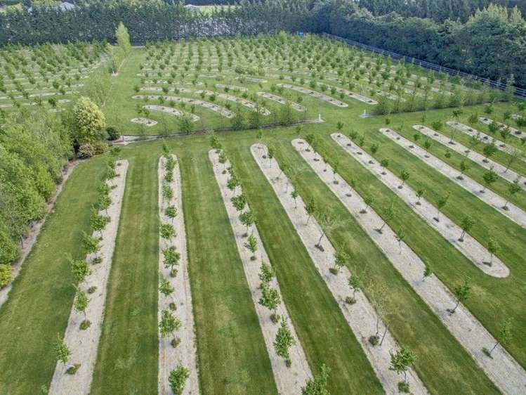 293 Lawford Road West Melton_10