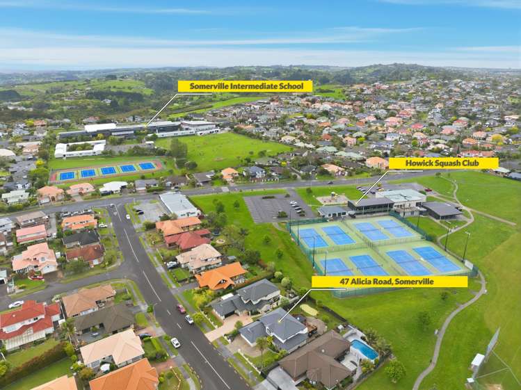 47 Alicia Road Somerville_12