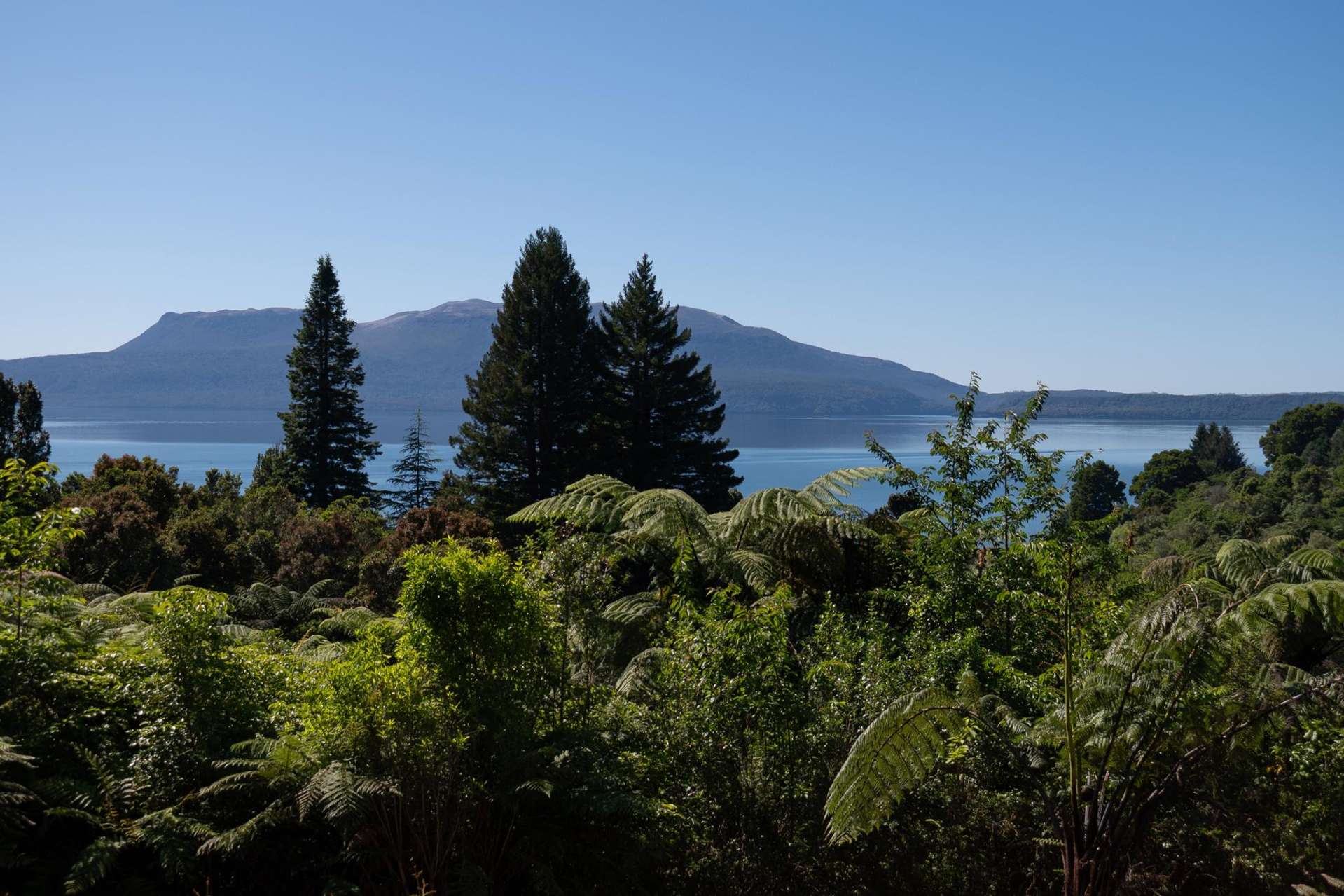 442 Spencer Road Lake Tarawera_0