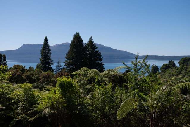 Live-While-You-Build at Lake Tarawera