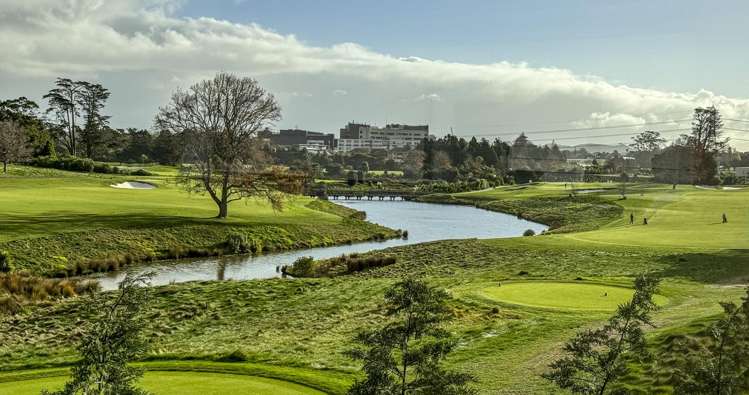 17 Puia Street Papatoetoe_29