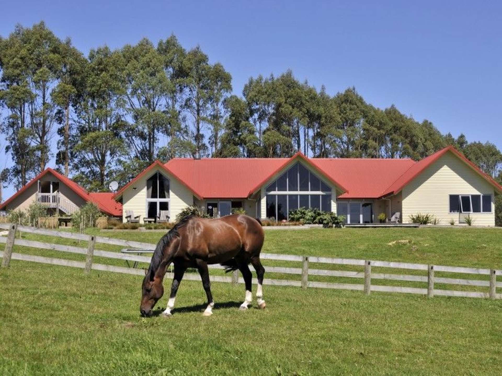 51 Kapukapu Road Hamurana_0